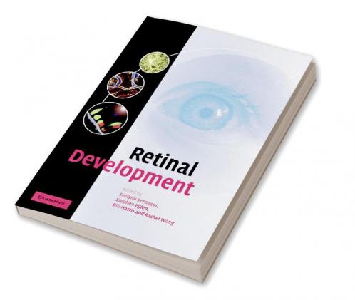 Retinal Development