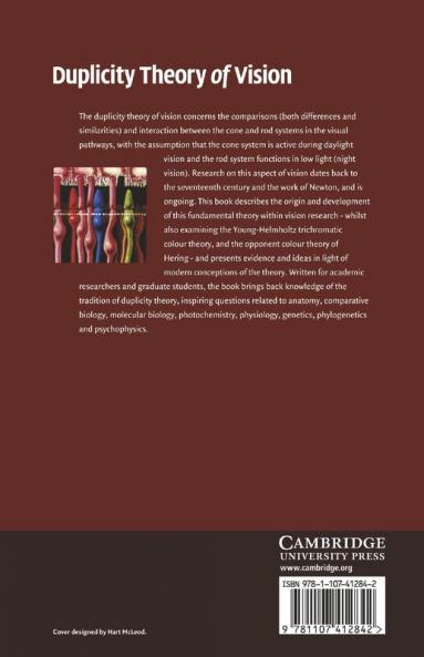 Duplicity Theory of Vision