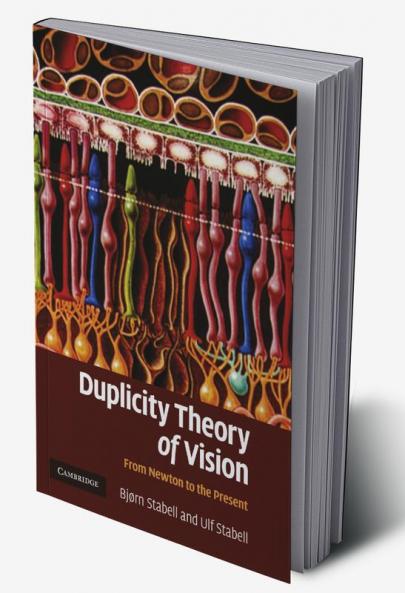 Duplicity Theory of Vision