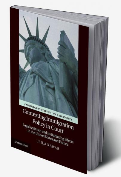 Contesting Immigration Policy in Court