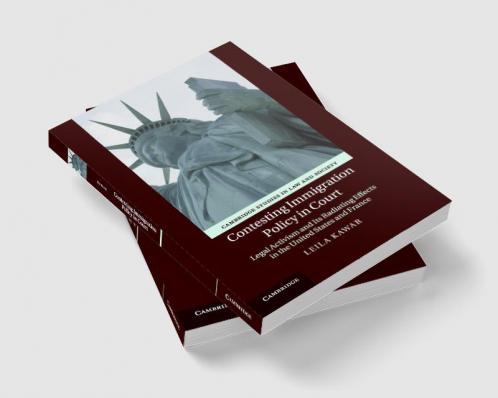 Contesting Immigration Policy in Court
