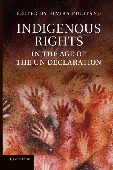 Indigenous Rights in the Age of the Un Declaration