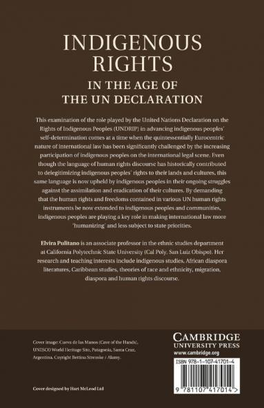 Indigenous Rights in the Age of the Un Declaration