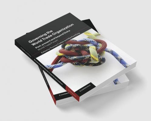 Governing the World Trade Organization