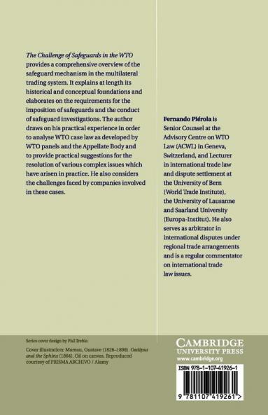 The Challenge of Safeguards in the WTO