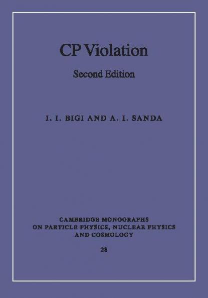 CP Violation