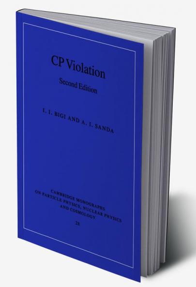 CP Violation