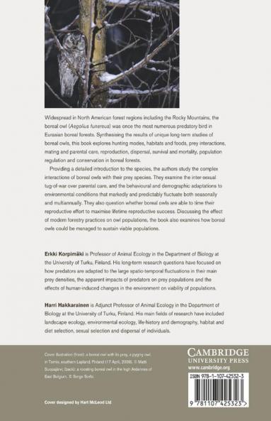 The Boreal Owl
