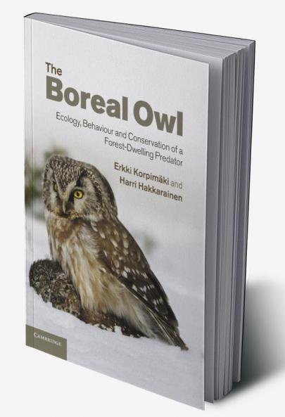 The Boreal Owl