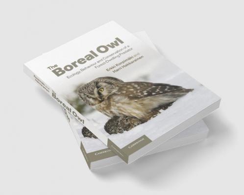 The Boreal Owl