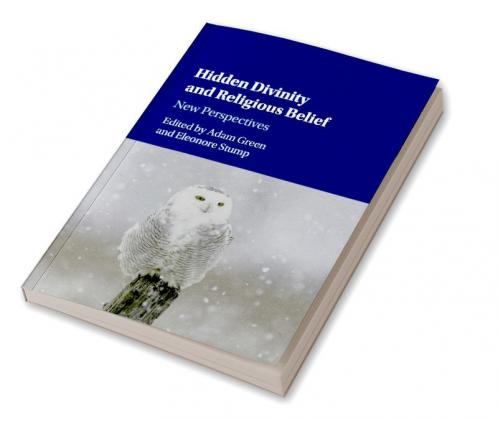 Hidden Divinity and Religious Belief