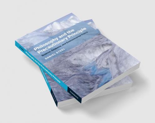 Philosophy and the Precautionary Principle