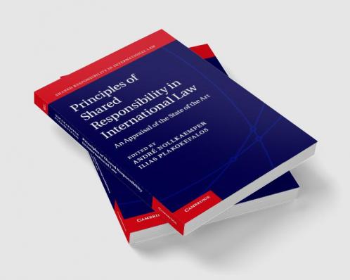 Principles of Shared Responsibility in International Law