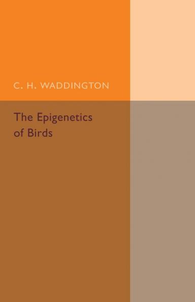 The Epigenetics of Birds