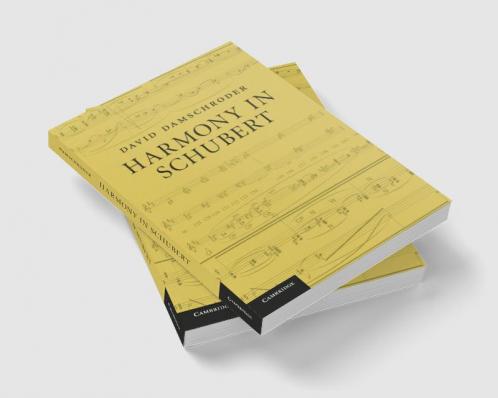 Harmony in Schubert