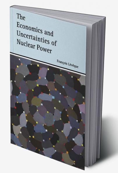 The Economics and Uncertainties of Nuclear Power