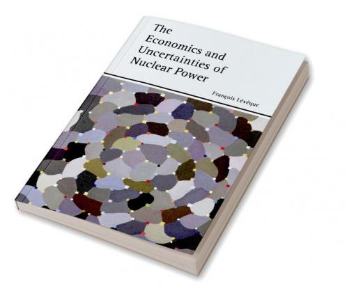 The Economics and Uncertainties of Nuclear Power