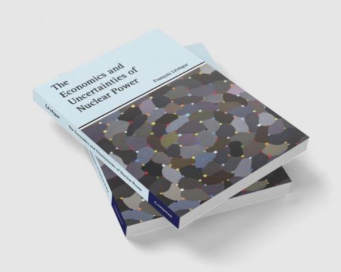 The Economics and Uncertainties of Nuclear Power