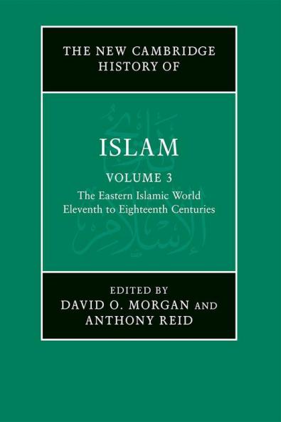The New Cambridge History of Islam