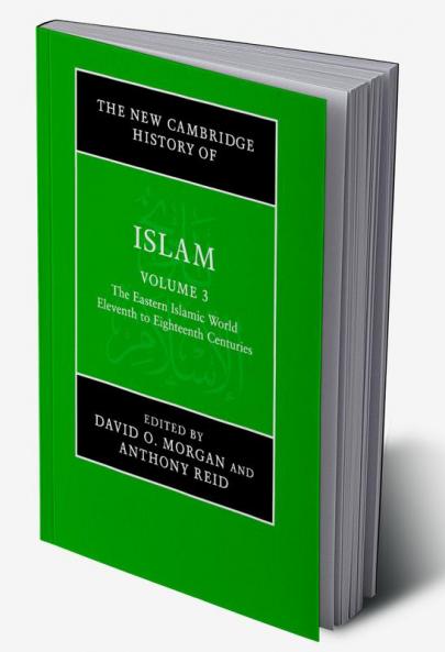 The New Cambridge History of Islam