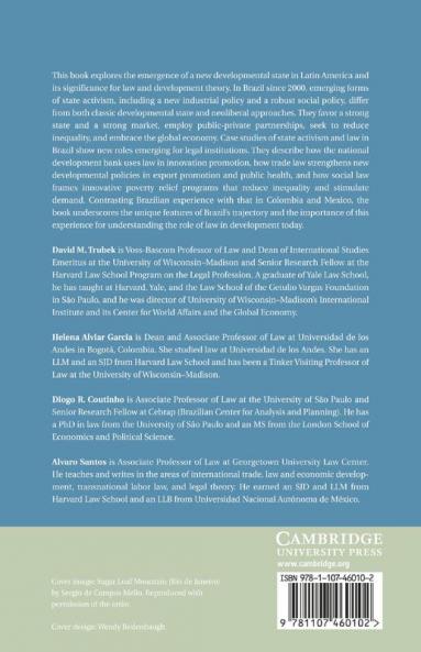 Law and the New Developmental State