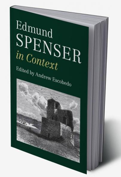 Edmund Spenser in Context