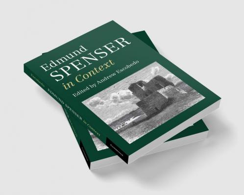 Edmund Spenser in Context