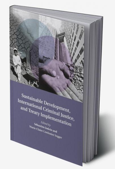 Sustainable Development International Criminal Justice and Treaty             Implementation