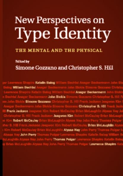 New Perspectives on Type Identity