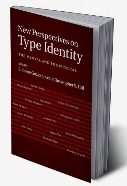 New Perspectives on Type Identity