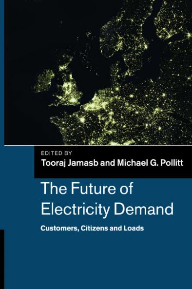 The Future of Electricity Demand