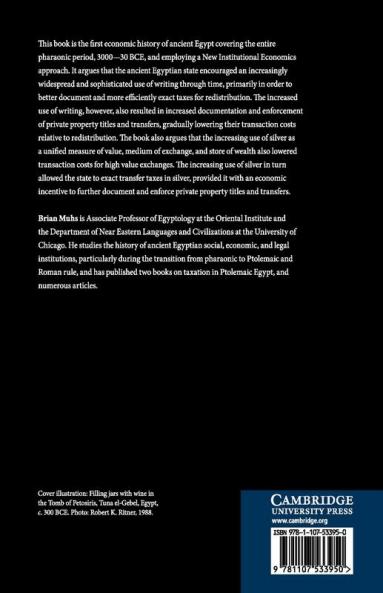 The Ancient Egyptian Economy