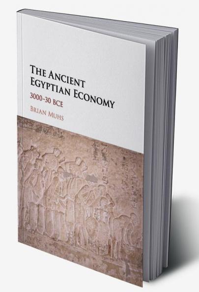 The Ancient Egyptian Economy