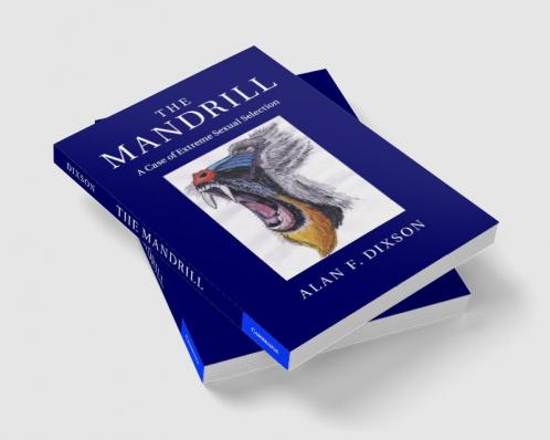 The Mandrill
