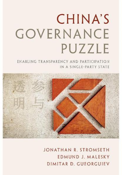 China's Governance Puzzle