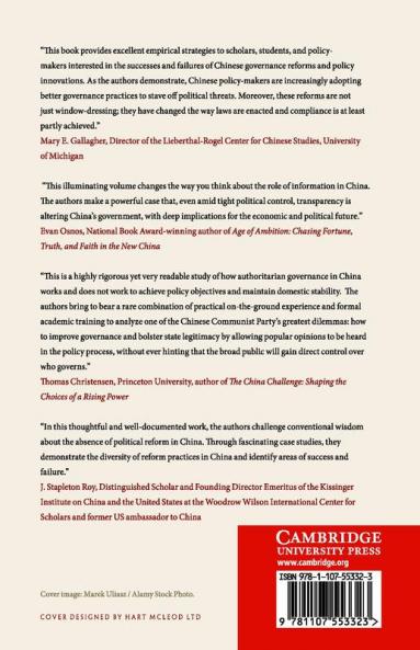 China's Governance Puzzle