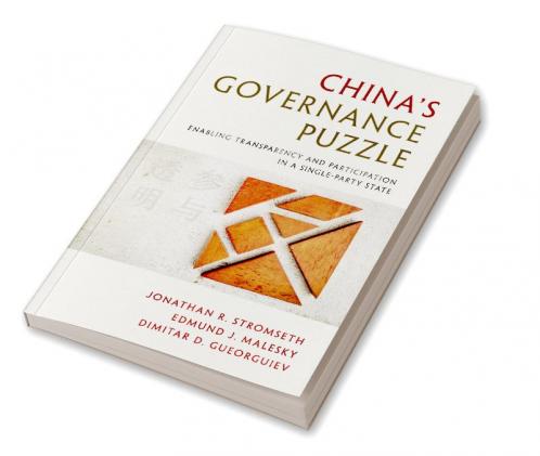 China's Governance Puzzle