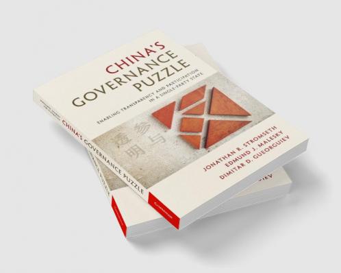 China's Governance Puzzle