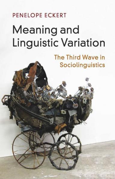 Meaning and Linguistic Variation