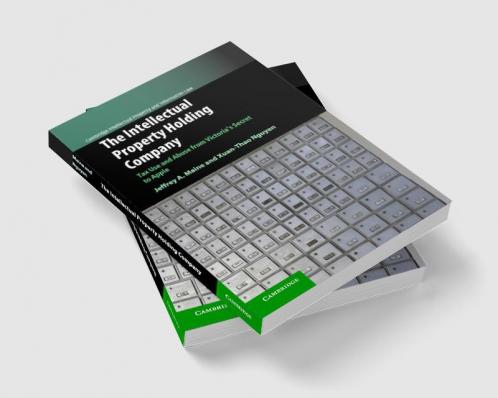 The Intellectual Property Holding Company
