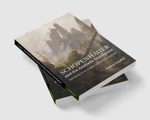 Schopenhauer and the Aesthetic Standpoint