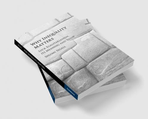 Why Inequality Matters