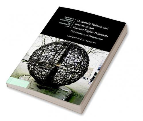 Domestic Politics and International Human Rights Tribunals