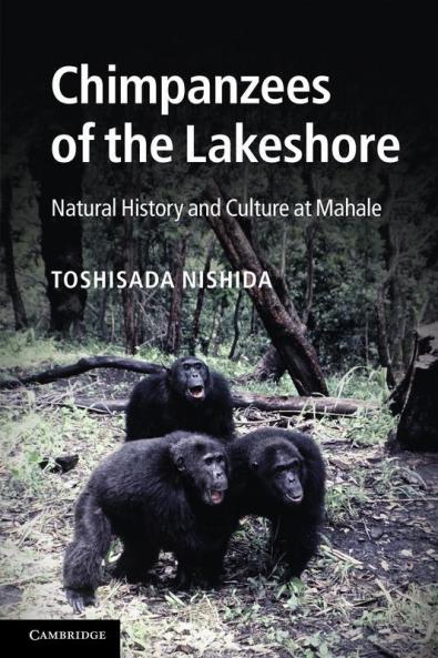Chimpanzees of the Lakeshore