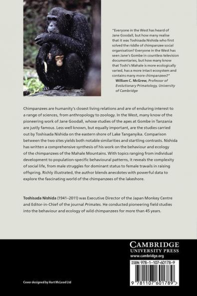 Chimpanzees of the Lakeshore