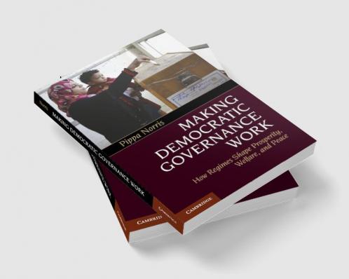 Making Democratic Governance Work