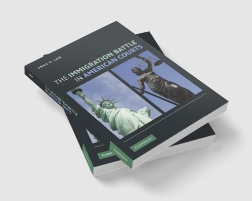 The Immigration Battle in American Courts