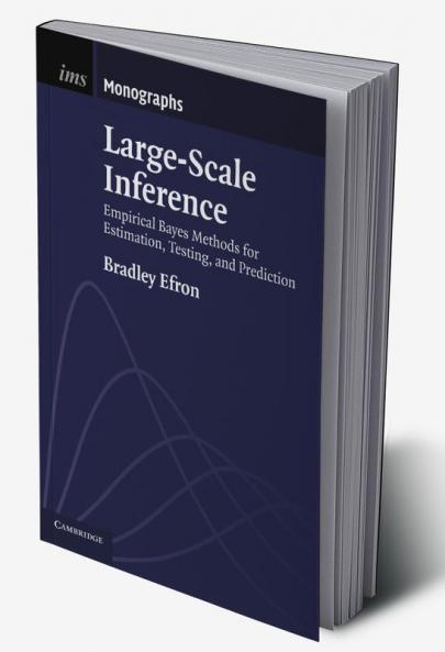 Large-Scale Inference