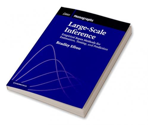 Large-Scale Inference