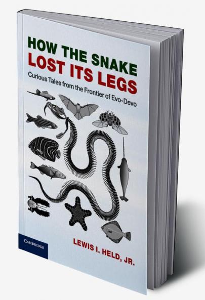 How the Snake Lost its Legs